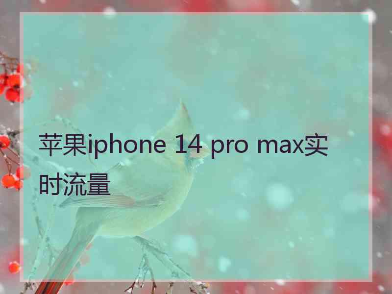 苹果iphone 14 pro max实时流量