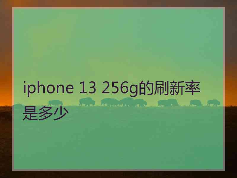 iphone 13 256g的刷新率是多少