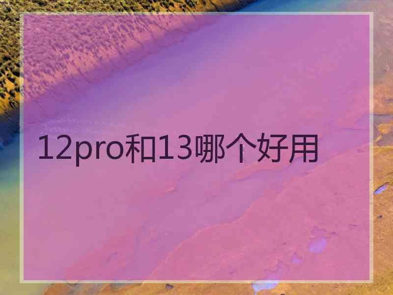 12pro和13哪个好用