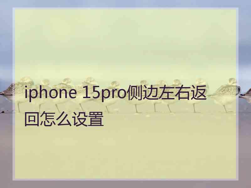 iphone 15pro侧边左右返回怎么设置