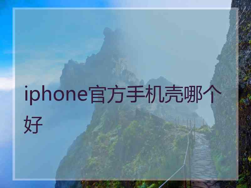 iphone官方手机壳哪个好