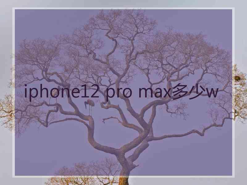 iphone12 pro max多少w