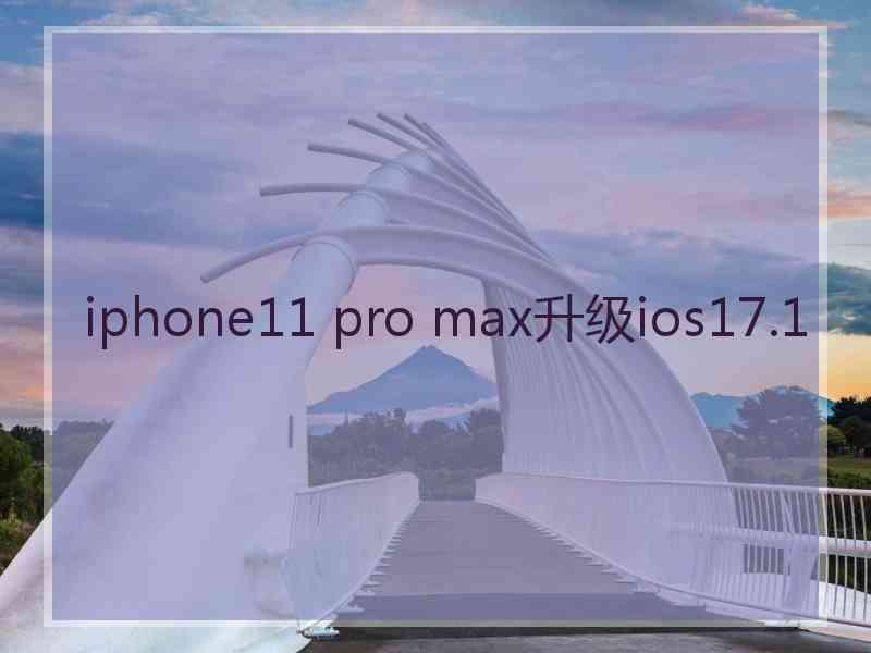 iphone11 pro max升级ios17.1