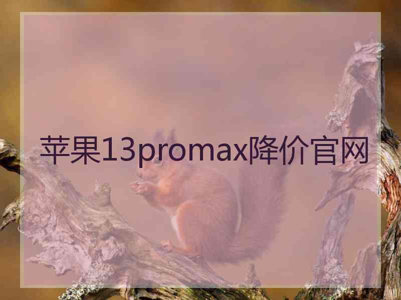 苹果13promax降价官网