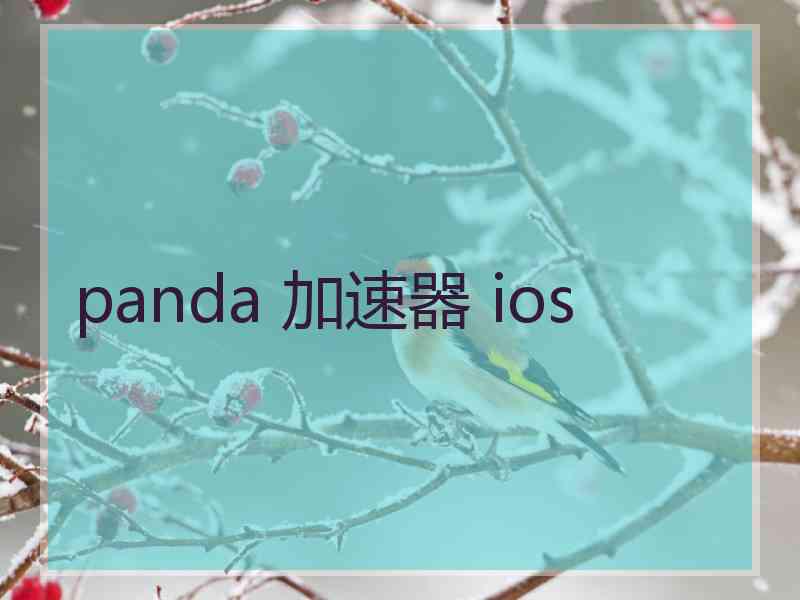 panda 加速器 ios