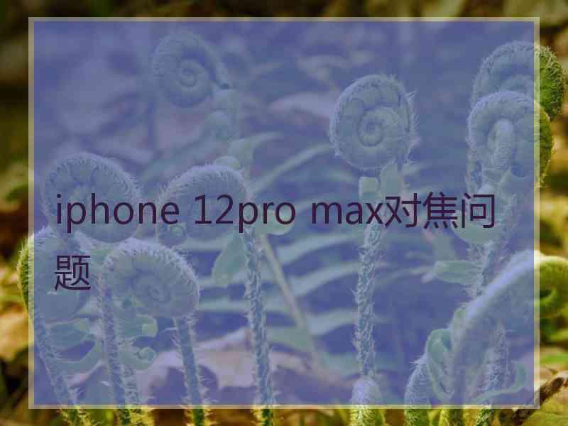 iphone 12pro max对焦问题