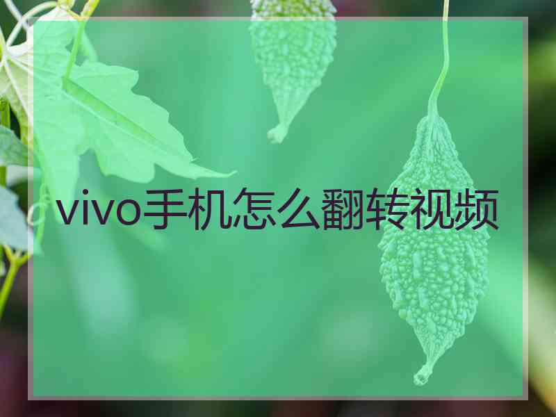 vivo手机怎么翻转视频