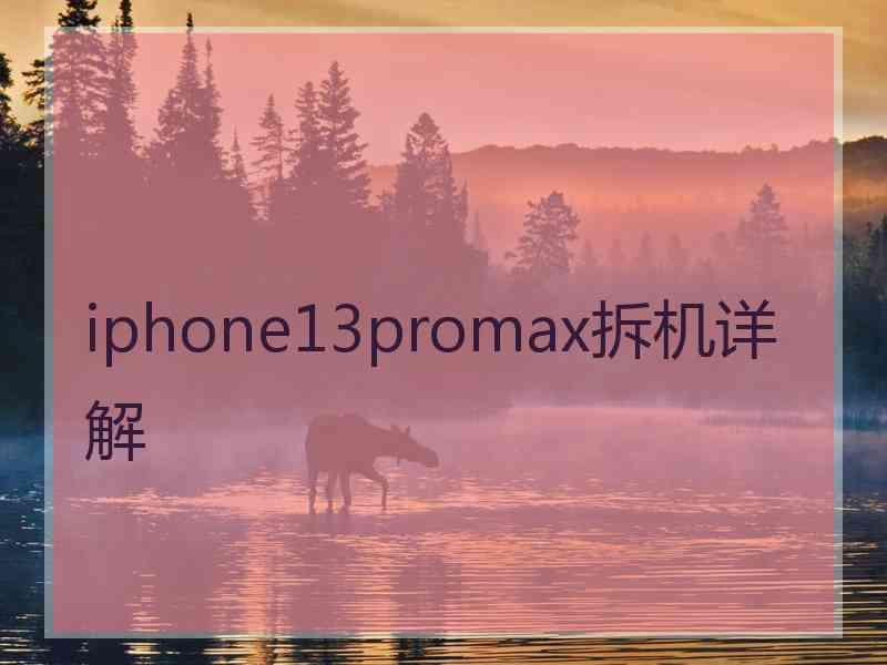 iphone13promax拆机详解