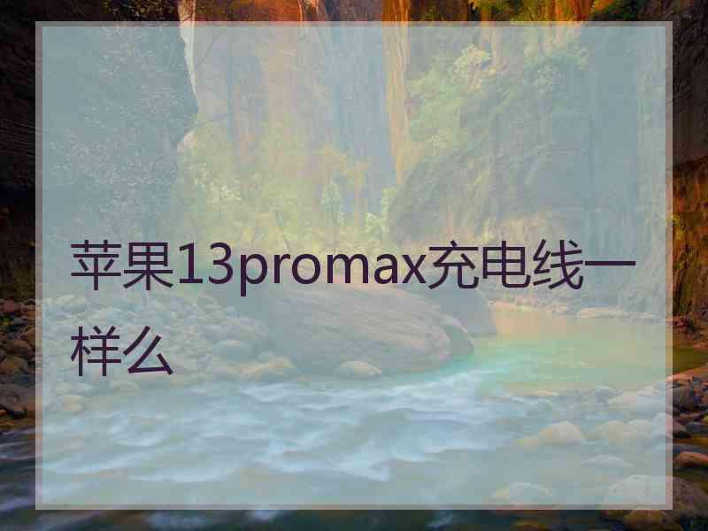 苹果13promax充电线一样么