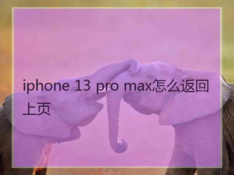 iphone 13 pro max怎么返回上页