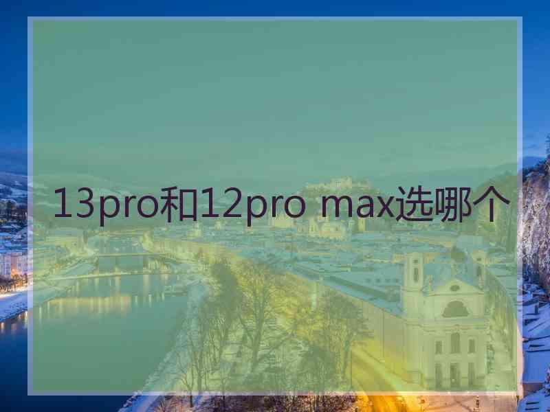 13pro和12pro max选哪个