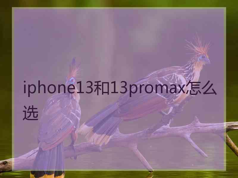 iphone13和13promax怎么选