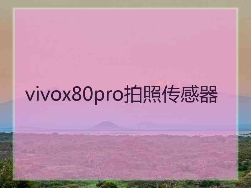 vivox80pro拍照传感器