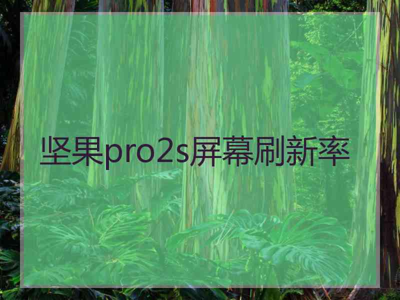 坚果pro2s屏幕刷新率