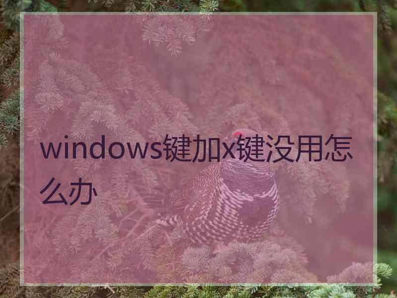 windows键加x键没用怎么办