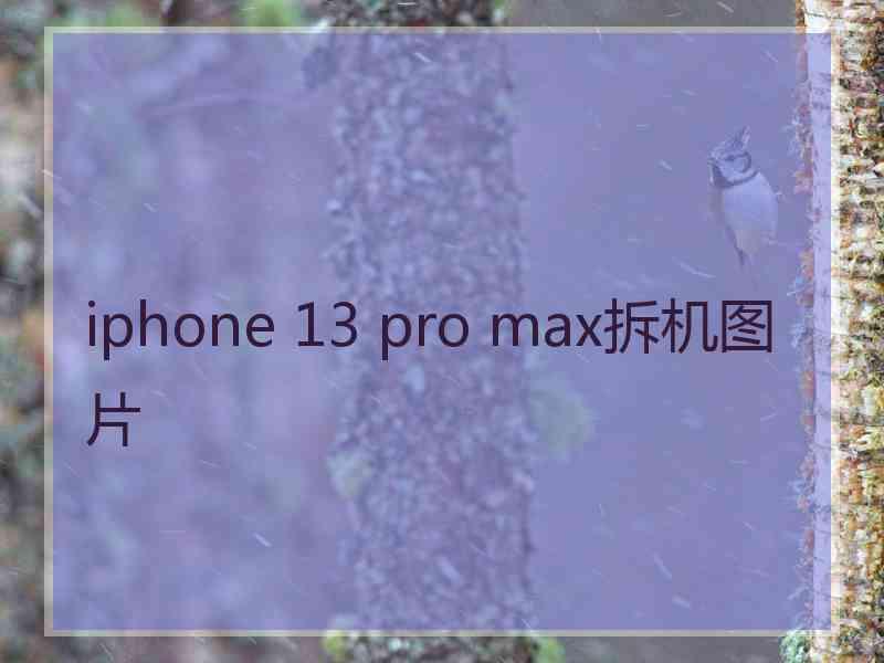 iphone 13 pro max拆机图片