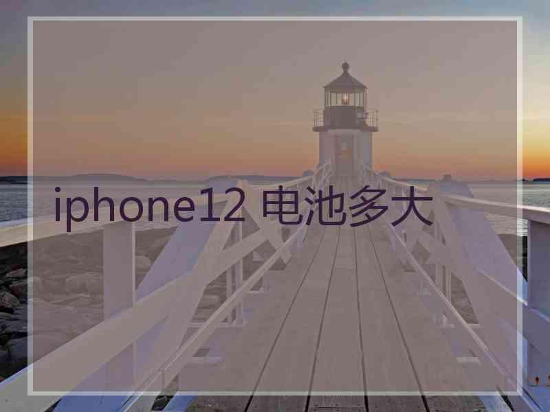 iphone12 电池多大