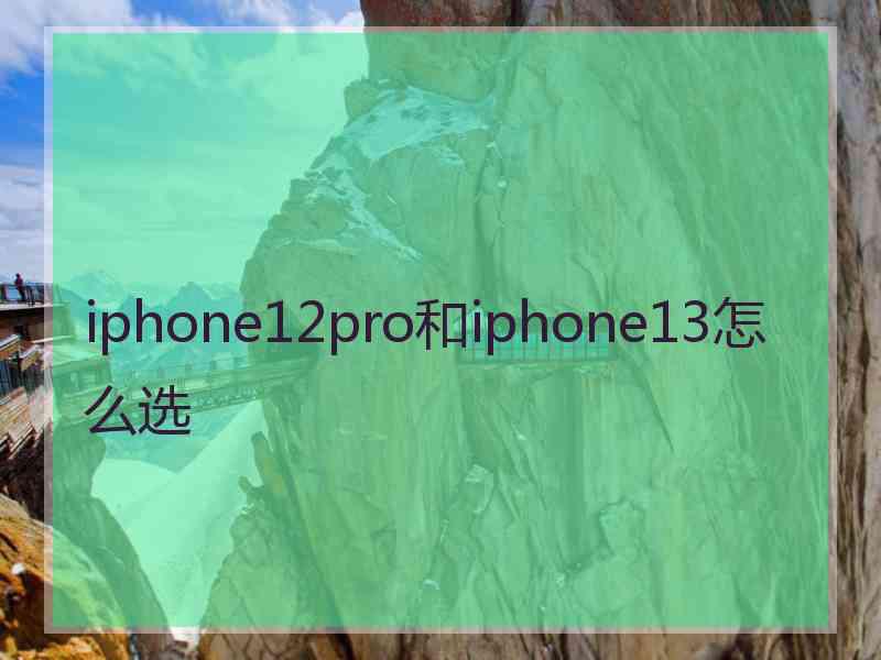 iphone12pro和iphone13怎么选