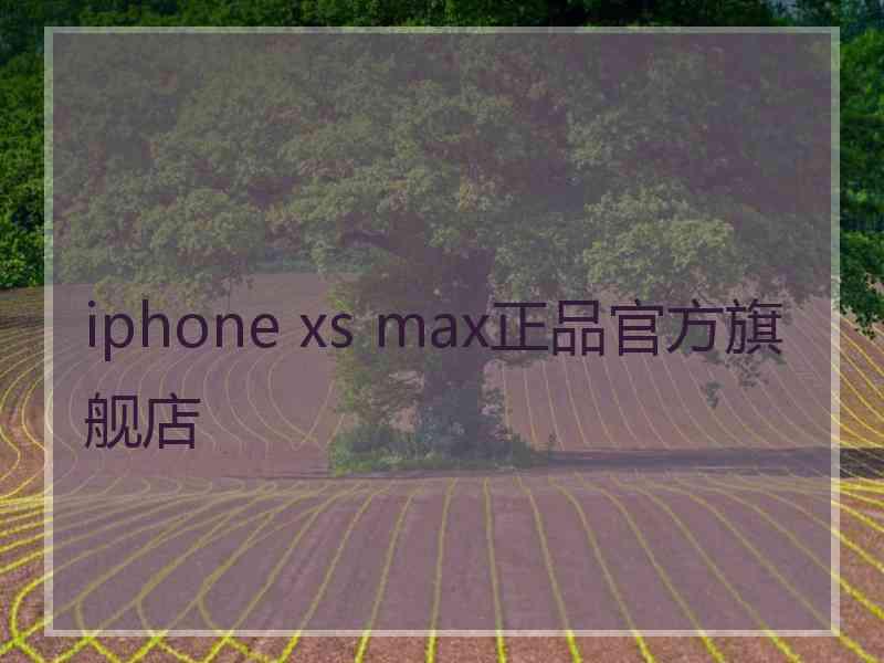 iphone xs max正品官方旗舰店