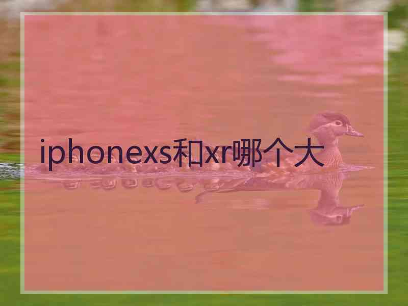 iphonexs和xr哪个大