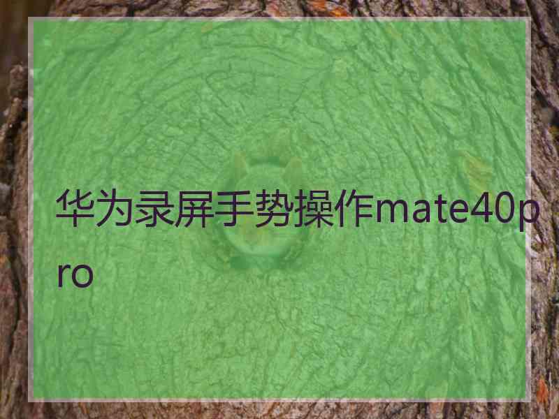 华为录屏手势操作mate40pro