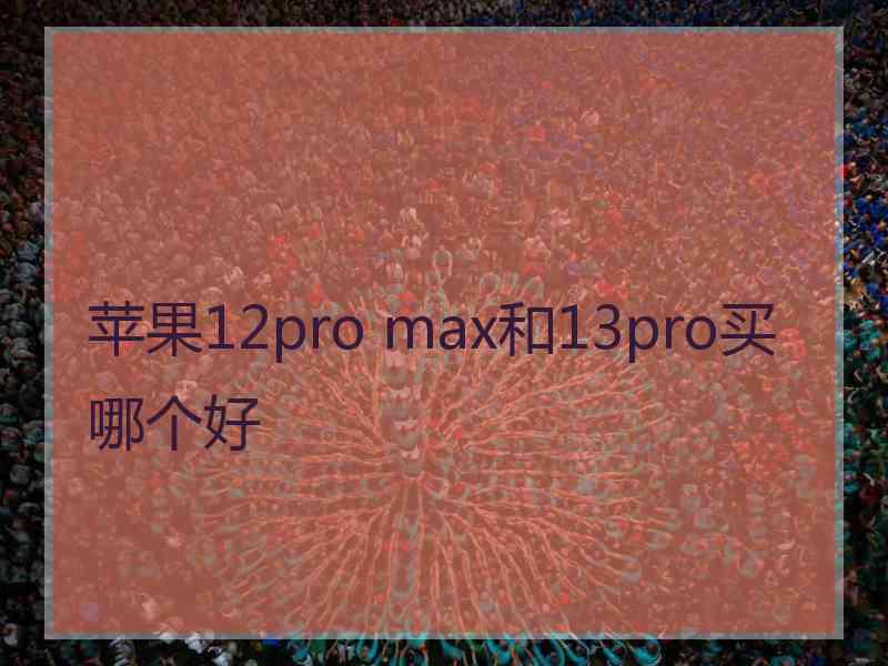 苹果12pro max和13pro买哪个好