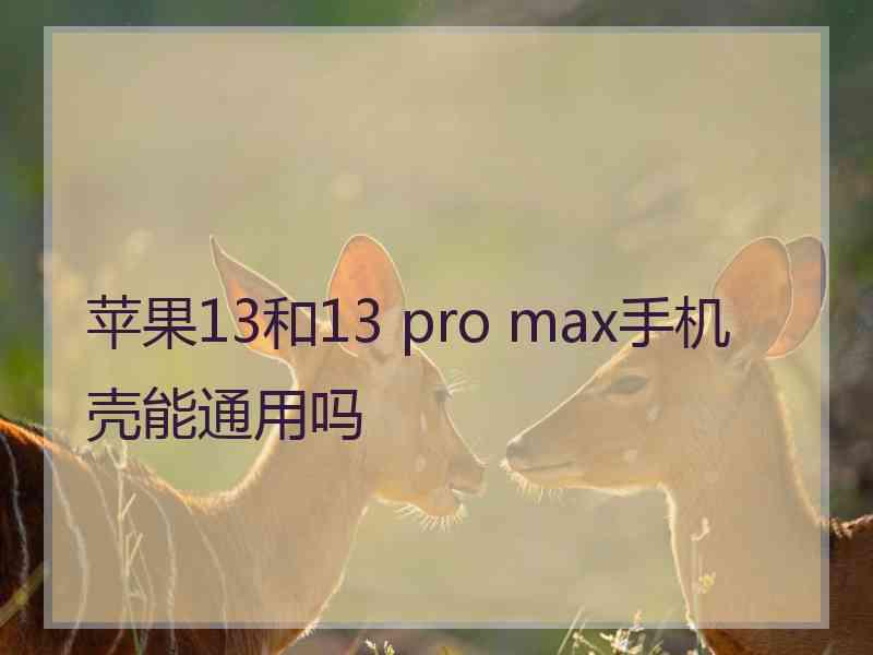 苹果13和13 pro max手机壳能通用吗