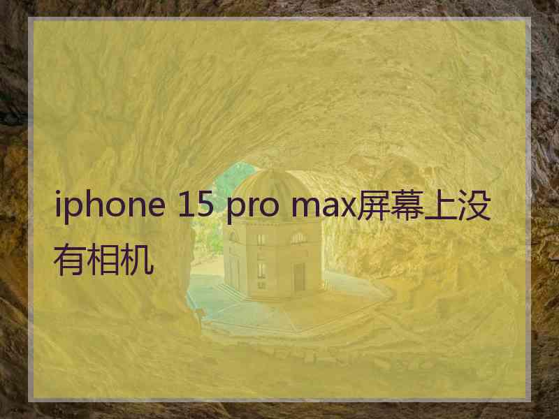 iphone 15 pro max屏幕上没有相机