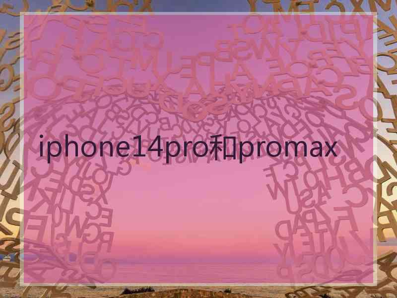 iphone14pro和promax