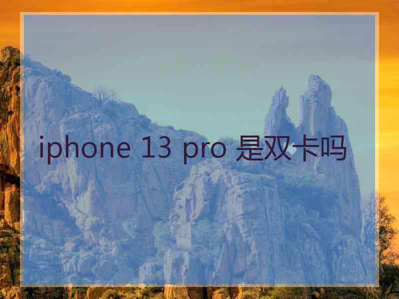 iphone 13 pro 是双卡吗