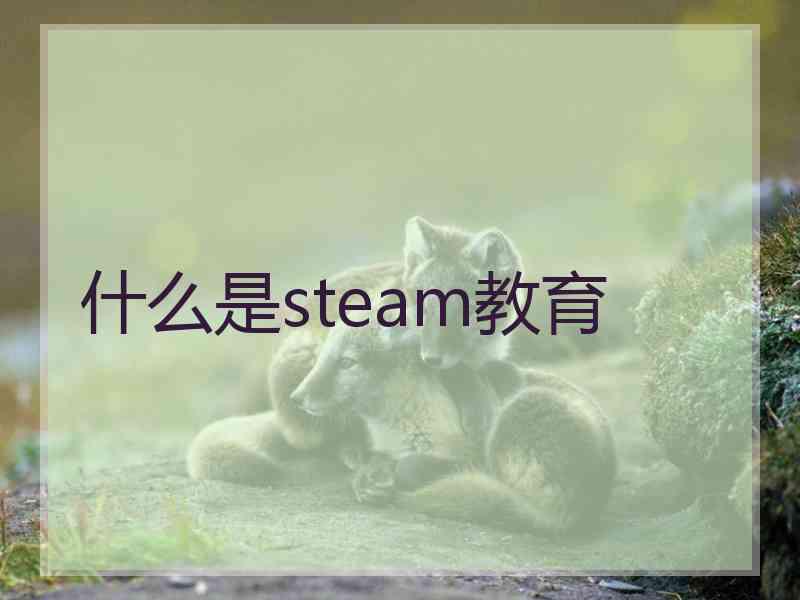 什么是steam教育