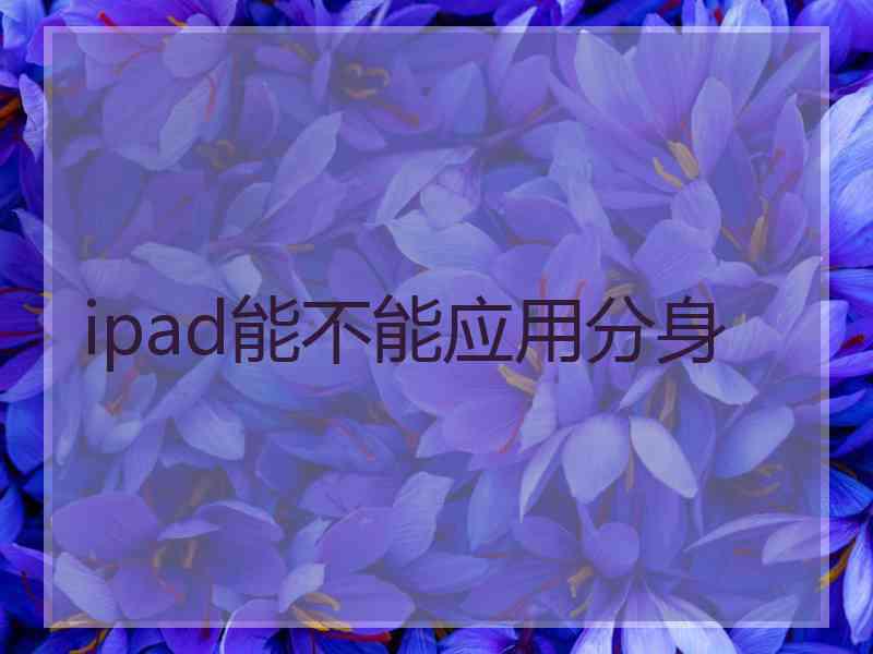 ipad能不能应用分身