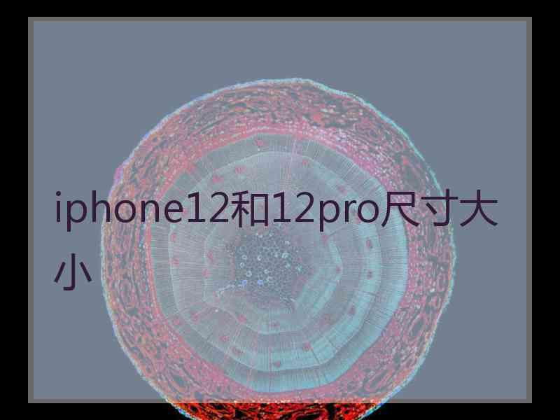 iphone12和12pro尺寸大小