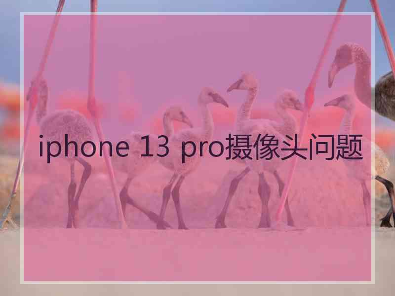 iphone 13 pro摄像头问题