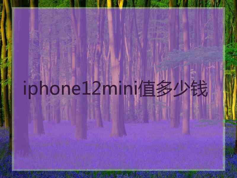 iphone12mini值多少钱