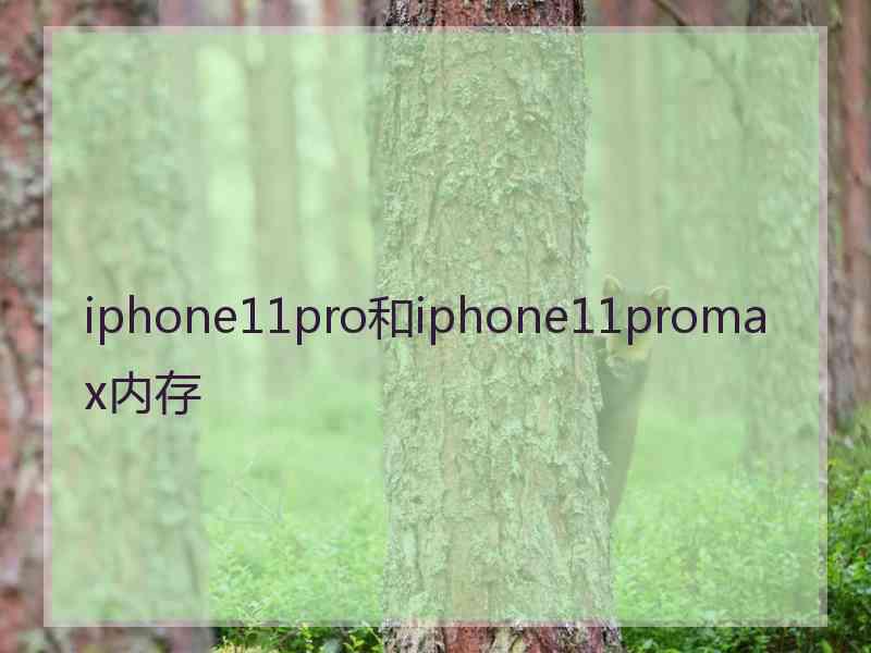 iphone11pro和iphone11promax内存