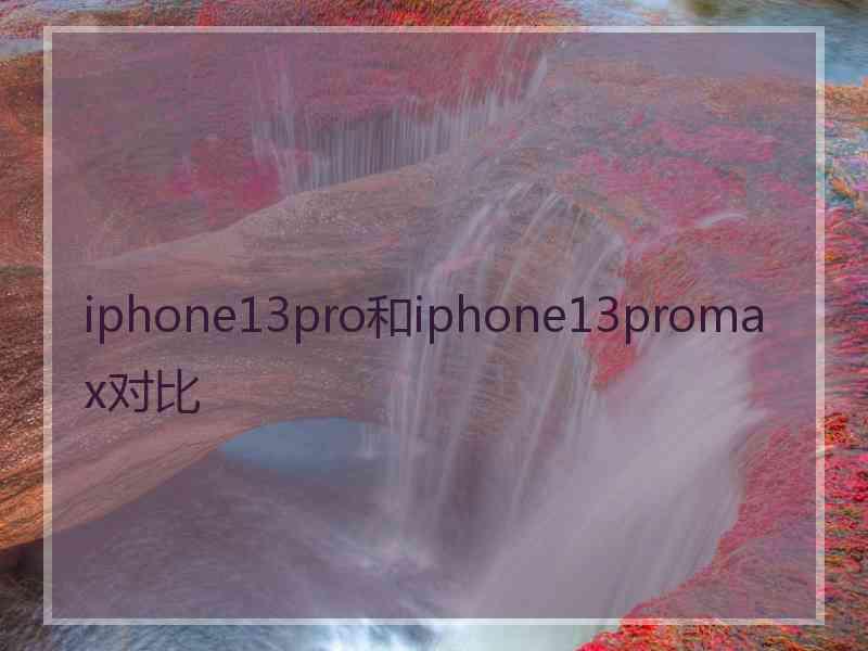 iphone13pro和iphone13promax对比