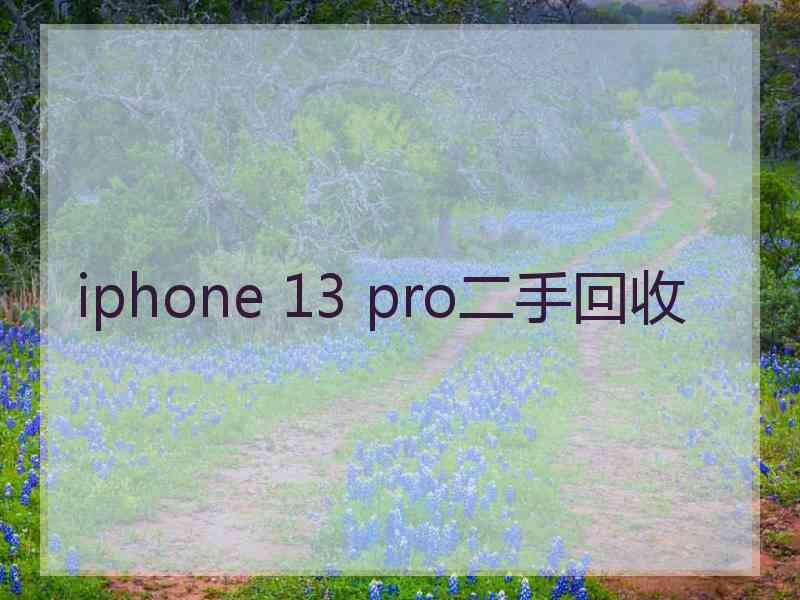 iphone 13 pro二手回收