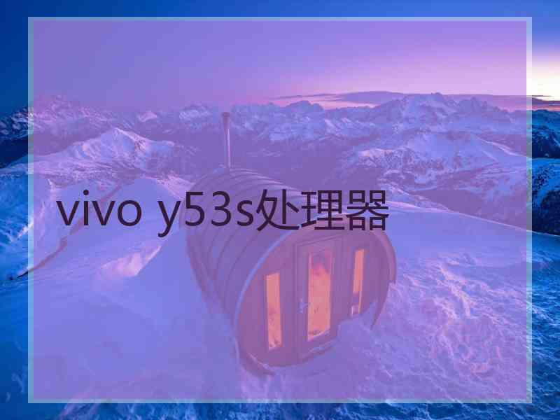 vivo y53s处理器