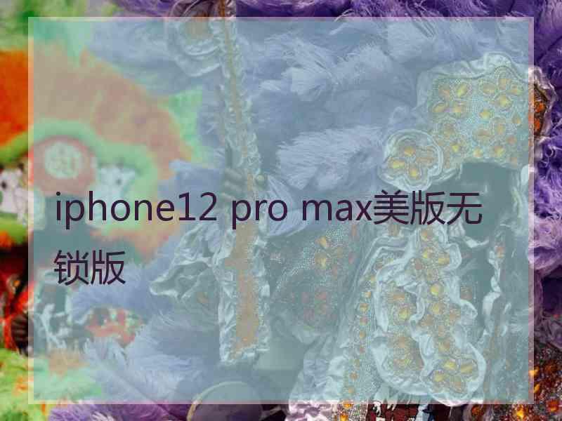 iphone12 pro max美版无锁版