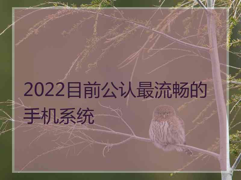 2022目前公认最流畅的手机系统