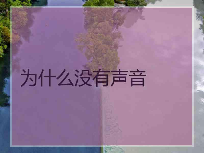 为什么没有声音