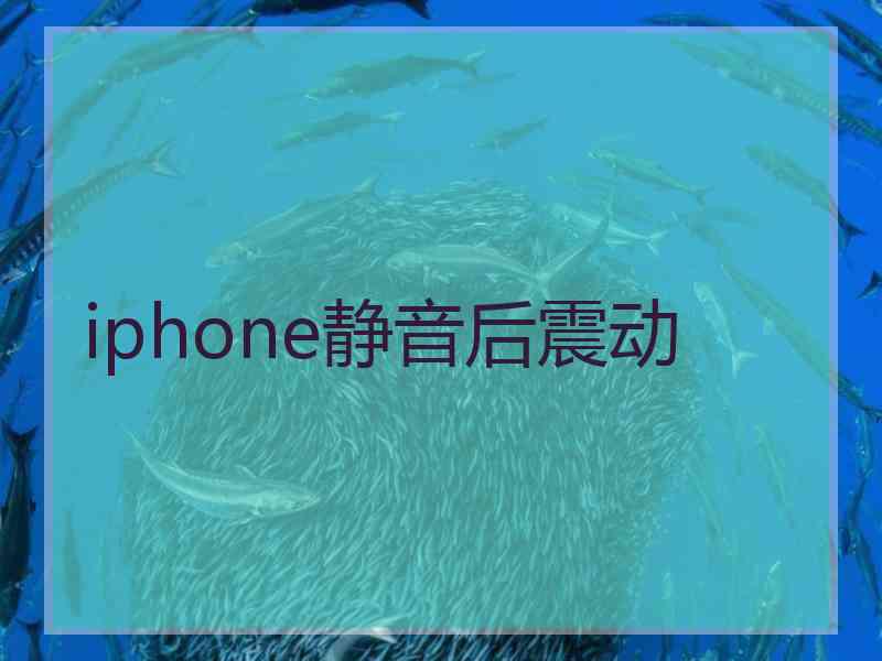 iphone静音后震动