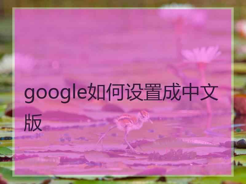 google如何设置成中文版