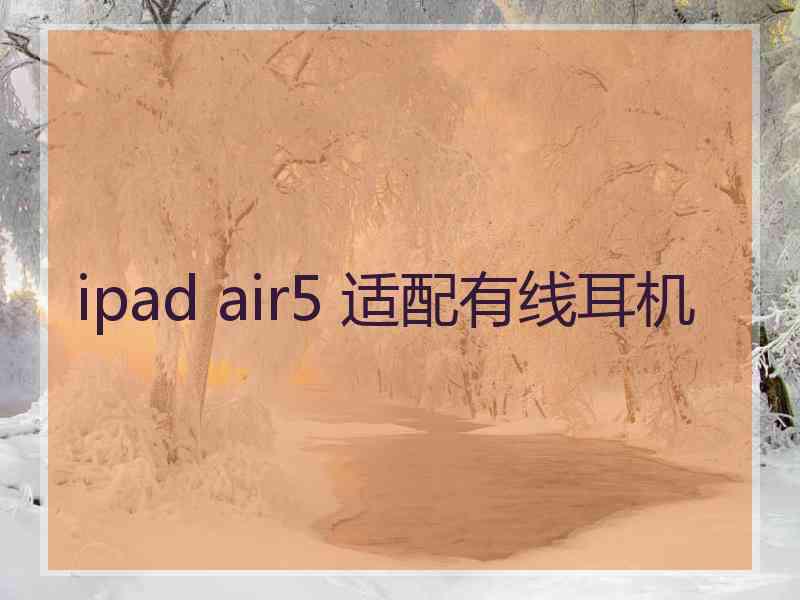 ipad air5 适配有线耳机