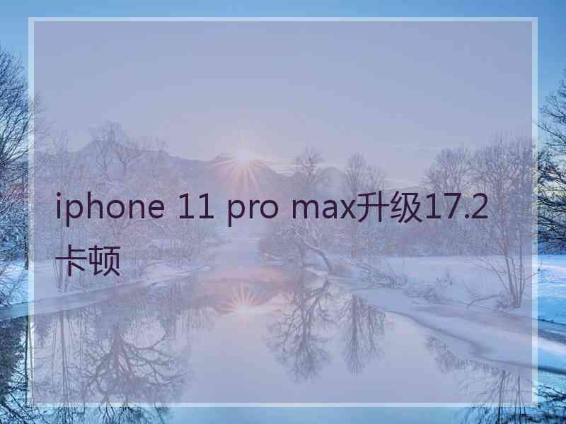 iphone 11 pro max升级17.2卡顿