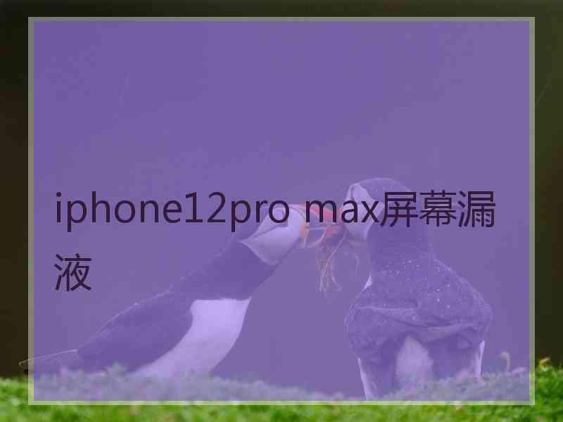 iphone12pro max屏幕漏液