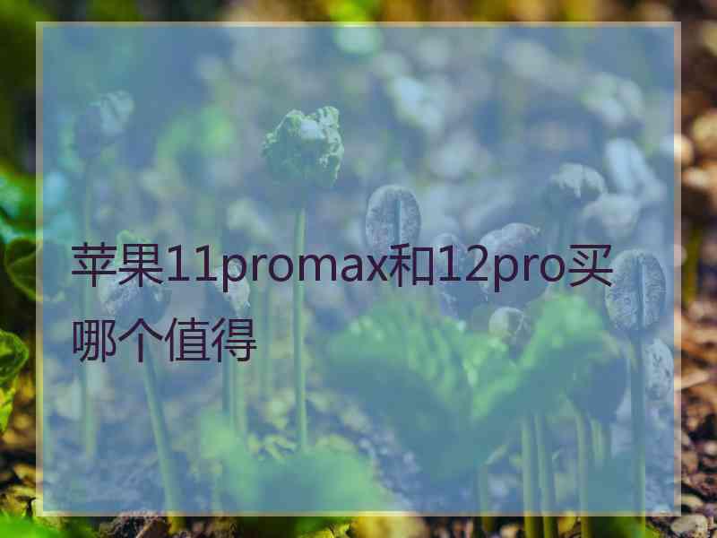 苹果11promax和12pro买哪个值得