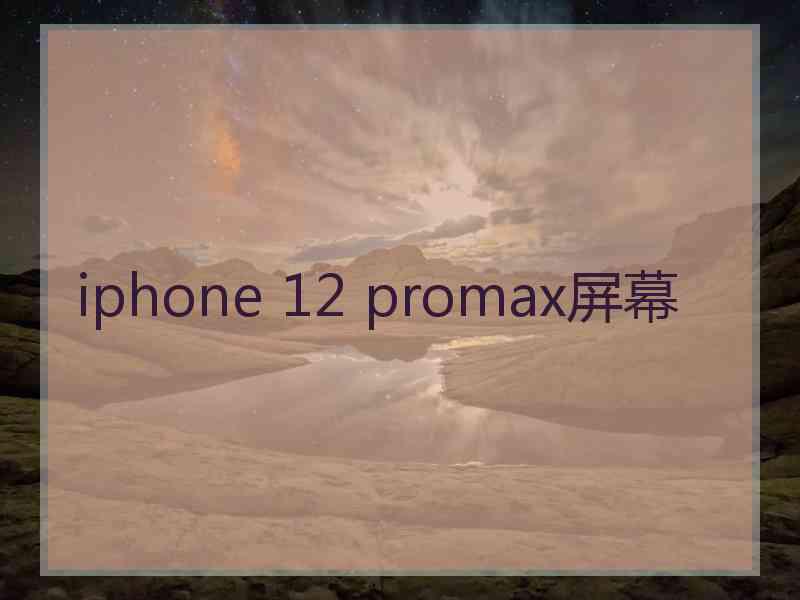 iphone 12 promax屏幕