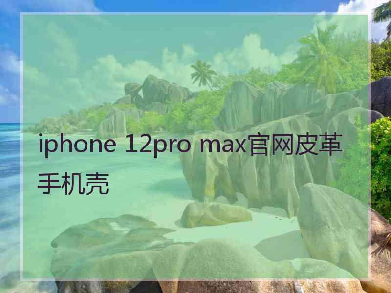 iphone 12pro max官网皮革手机壳